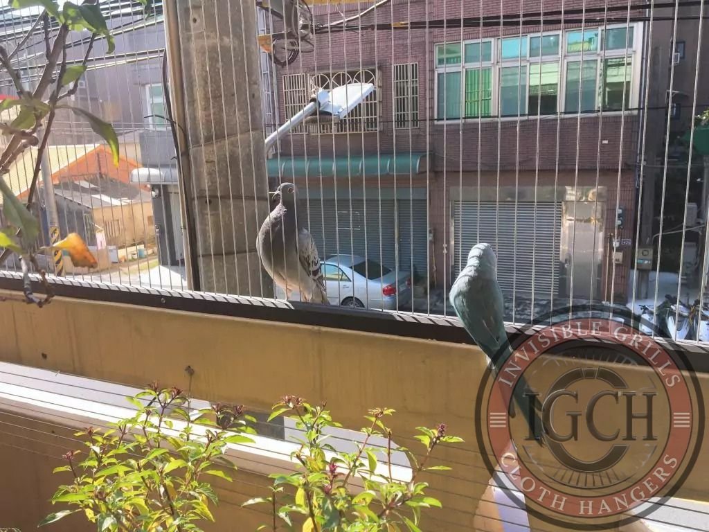 Clear invisible balcony grills stopping pigeons while maintaining open view in Nallagandla